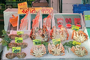 Japanese hairy crabs in morning market at Hakodate, Hokkaido, Japan