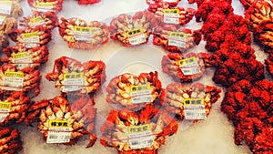 Japanese hairy crabs in morning market at Hakodate, Japan