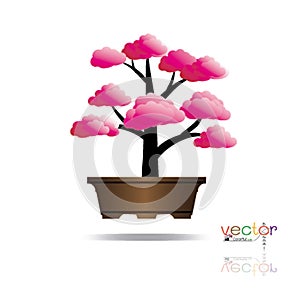 Colorful of Bonsai tree, silhouette of bonsai, Detailed image, Vector illustration.