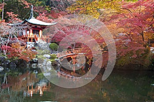 Japanese Heritage. Serene Famous Daigo-ji Temple During Beautiful Red Maples Autumn Season at Kyoto City in Japan