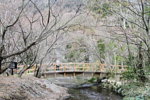 Japanese historical bridge