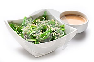 Japanese hiyashi wakame chuka salad with white sesame seeds and peanut sauce in a bowl on a white background