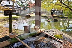 Japanese holy water,Nara Park,Japan