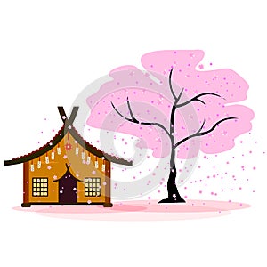 Japanese house next to blooming cherry blossoms