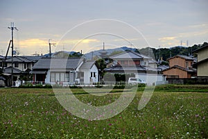 Japanese houses.