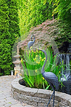 Japanese Inspired Garden with Pond springtime