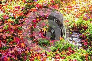 Japanese Jizo sculpture doll with falling Red Maple leaf in Japanese Garden at Enkoji Temple, Kyoto, Japan. Landmark and famous in