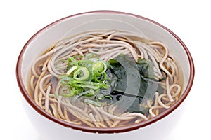 Japanese Kake soba noodles