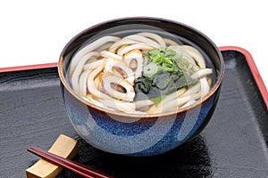 Japanese Kake udon noodles