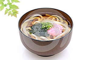 Japanese Kake udon noodles in a bowl