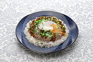 Japanese keema curry