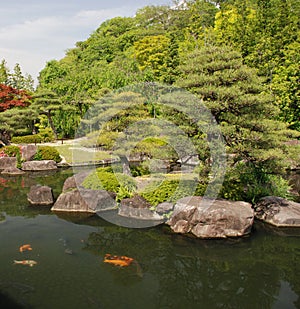 Japanese Koi Carp Pond photo