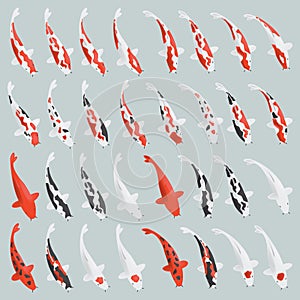 Japanese koi carp set. Vector.