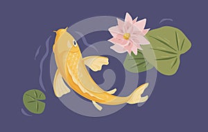 Japanese koi fish swimming in pond in Asian water garden. Decorative peaceful carp and lotus flower in Japan