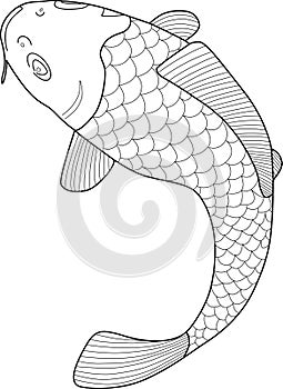 Japanese Koi Fish Vector