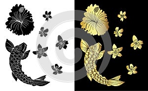 Japanese koi fish vector isolate on white background.