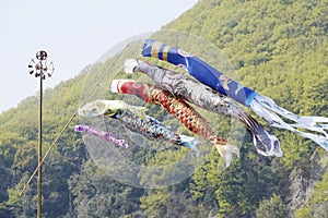 Japanese Koinobori carp kite