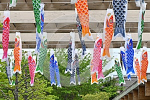 Japanese 'Koinobori' ( Carp streamer ) .