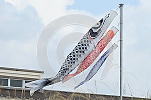 Japanese 'Koinobori' ( Carp streamer ) .