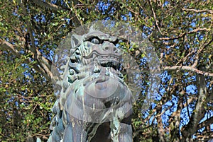 Japanese Komainu lion dog stature photo