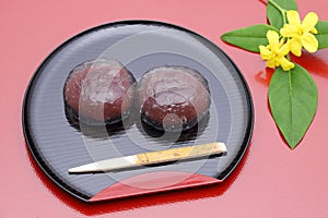 Japanese Kuzu mochi, traditional sweets