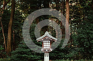 Japanese lamp of Meiji Jingu Shrine under big tree in shrine forest park Tokyo