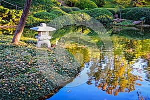 Japanese Lantern - Autumn Garden - Fort Worth