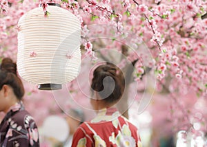Japanese lantern