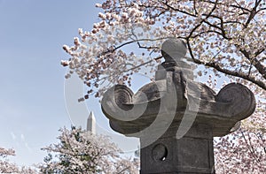 The Japanese Lantern in Washington, DC