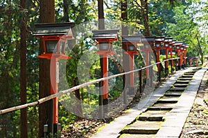 Japanese lanterns on mountain path