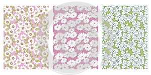 Japanese Line Art Cherry Blossom, White Flower, Tropical Flower Abstract Vector Background Collection