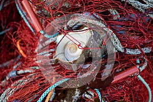 Japanese lobster fishermen nets