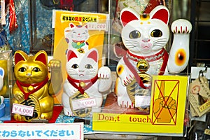 Japanese lucky cat