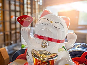 Japanese lucky cat in front of a shop