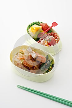 Japanese lunch box