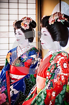 Japanese Maiko, Geisha in red and blue costume sit in traditional room with paper wall background