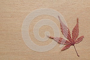 Japanese maple leaf and wood background