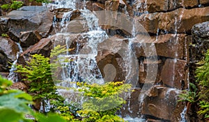 Japanese Maple by Waterfall