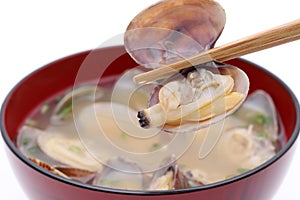 Japanese miso soup with asari clams in a bowl