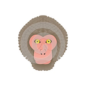Japanese Monkey