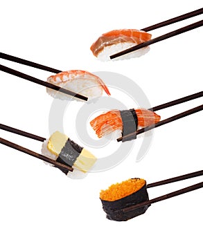 Japanese nigiri sushi isolated