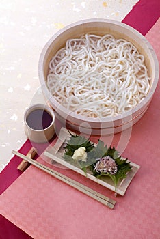 Japanese noodle 'Udon'