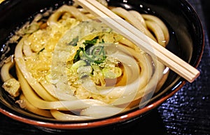 Japanese noodle udon