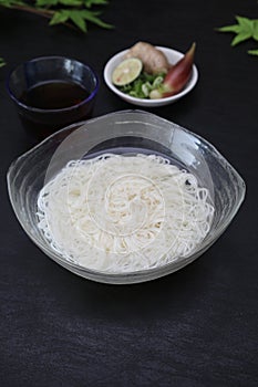 Japanese noodles dishes called the somen