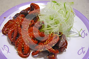 Japanese octopus