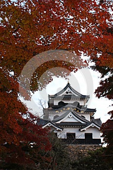 Japanese old castle in Hikone