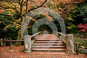 Japanese old traditional bridge