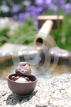Japanese outdoor onsen racoon toy