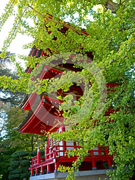 Japanese Pagoda