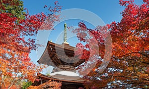 Japanese pagoda in beautiful autumn season.